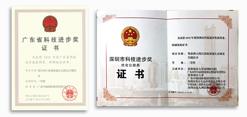 科技進步獎 科技進步獎