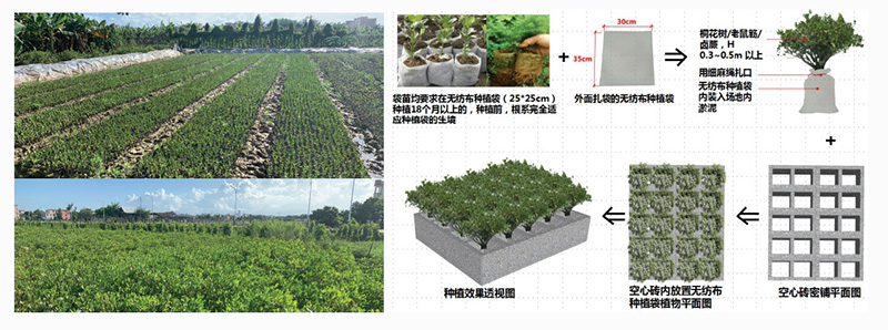 核心技術 核心技術